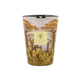 Baobab Sacred Trees Cocody