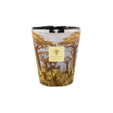 Baobab Sacred Trees Cocody