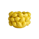 Ceramic Lemon Planter