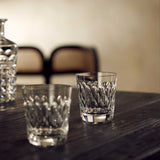 Baccarat Armagnac Tumblers Set of 2