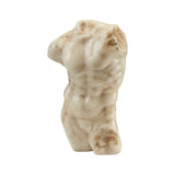 Ancient Greek Torso