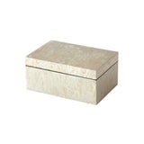 Champagne Silver Leaf Box