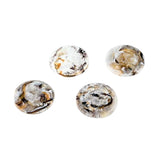 Nashi Coasters Set of 4