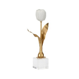 Darwin Tulip On Stand