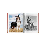 Dogs: Photographs 1941-1991