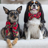 Lady Dog Bow Tartan Plaid