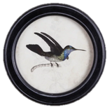 Hummingbird Round Petite Print