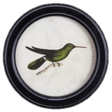 Hummingbird Round Petite Print