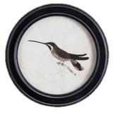 Hummingbird Round Petite Print