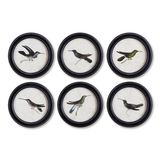 Hummingbird Round Petite Print