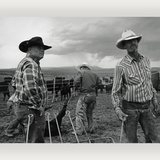 John Langmore: Open Range