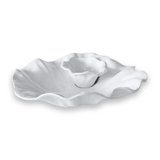 VIDA Bloom Chip and Dip