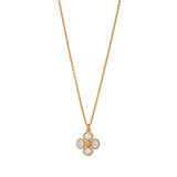 Berry Clover Double Sided Charm Necklace- MOP