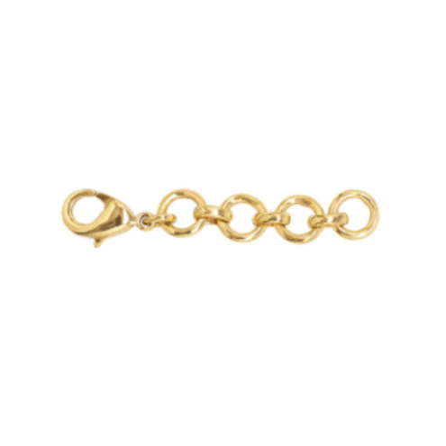 Gold chain link on a white background