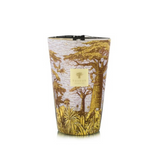 Baobab Sacred Trees Cocody