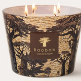 Baobab Sacred Trees Mankono