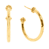 Berry Slice Medium Hoop Earrings - Gold