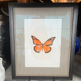 Butterfly Framed Art - Orange