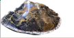 Jasper Bowl Large