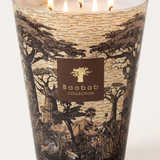 Baobab Sacred Trees Mankono